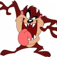 Taz