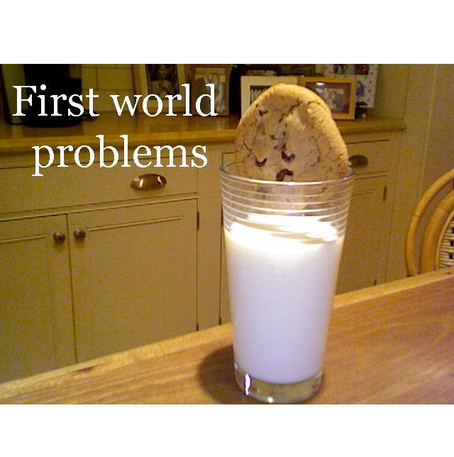 Cookie Too Large