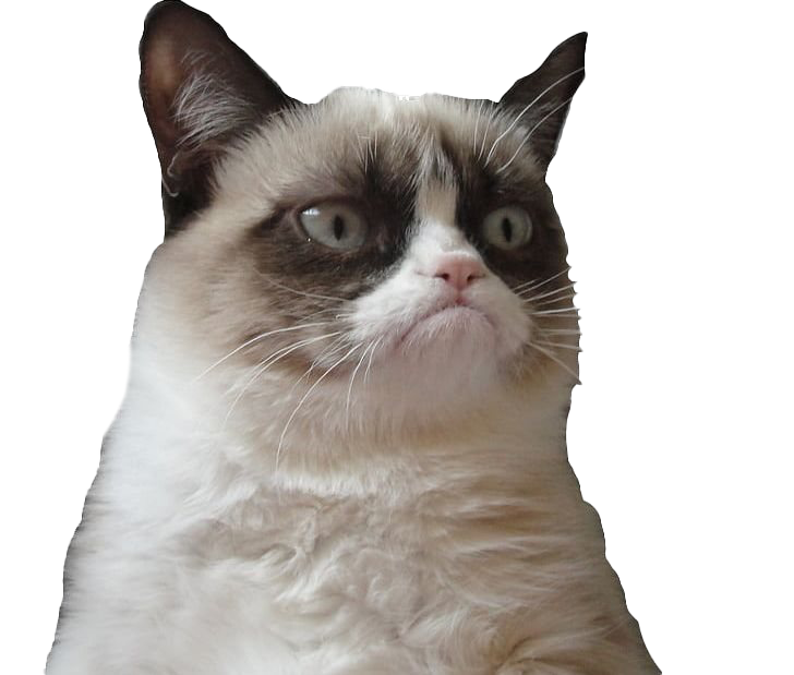 Grumpy Cat