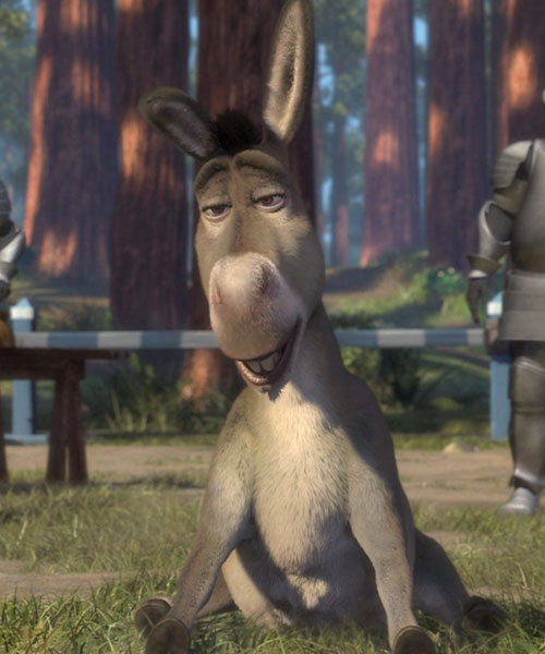 Donkey