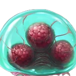 Baby Metroid